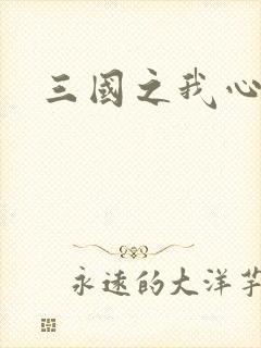三国之我心狂想