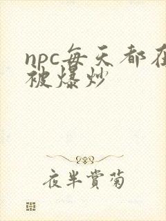 npc每天都在被爆炒