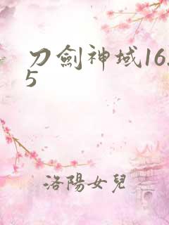 刀剑神域16.5