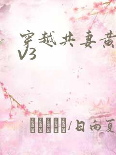 穿越共妻黄暴1V3