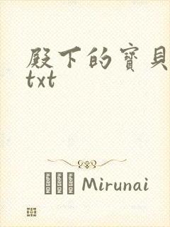 殿下的宝贝公主txt