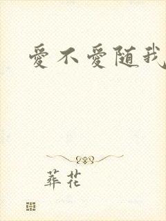 爱不爱随我