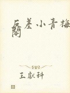 反差小青梅笔趣阁