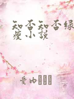 知否知否绿肥红瘦小说