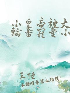 小皇帝被大臣们轮番宠爱小说