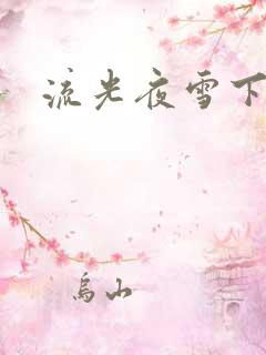 流光夜雪下载