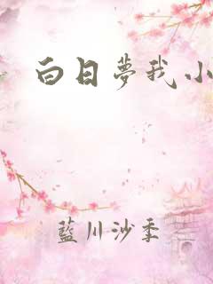 白日梦我小说