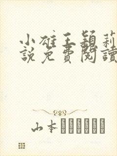 小雄王颖莉的小说免费阅读全文