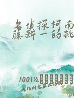 名侦探柯南给工藤新一的挑战书