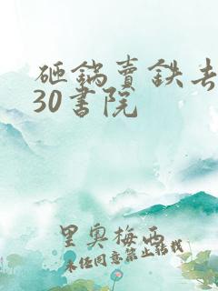 砸锅卖铁去上学30书院