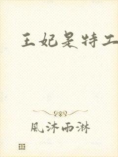 王妃是特工