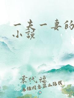 一夫一妻的玄幻小说