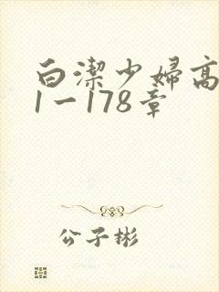 白洁少妇高义第1一178章