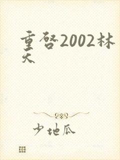 重启2002林天