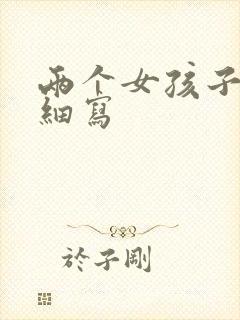 两个女孩子开车细写