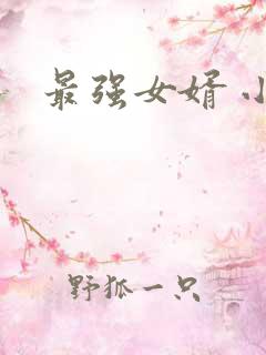 最强女婿 小说