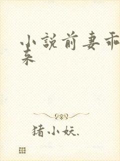 小说前妻乖乖回来