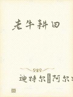 老牛耕田