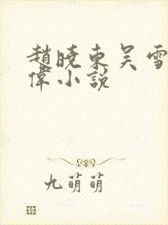 赵晓东吴雪晴郑伟小说