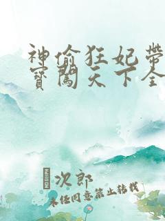 神偷狂妃带着宝宝闯天下全文免费阅读