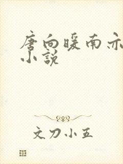 唐向暖南亦琛的小说