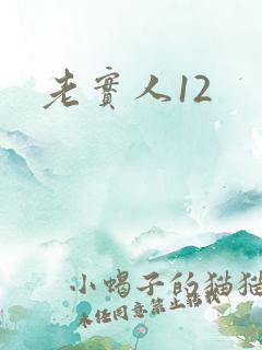 老实人12