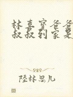 林喜宝爸爸叫李叔叔到家是哪一集