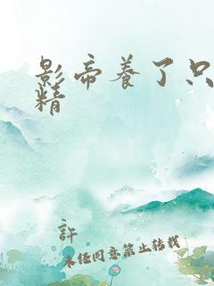 影帝养了只兰花精