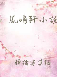 凤鸣轩小说