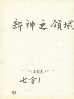 新神之领域