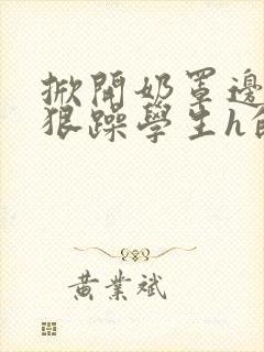 掀开奶罩边躁狠狠躁学生h的小说