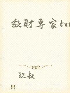 敛财专家txt