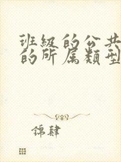 班级的公共小0的所属类型