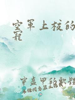 空军上校的邪魅宠