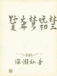 野火林晚林潮生夏布多初三边缘