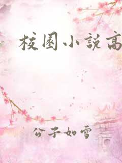 校园小说高h