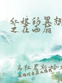 红娘的异想世界之在西厢