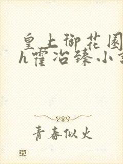 皇上御花园hlh霍冶臻小说