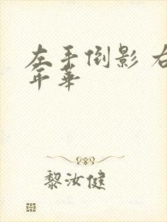 左手倒影 右手年华