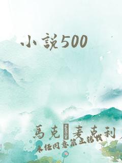 小说500