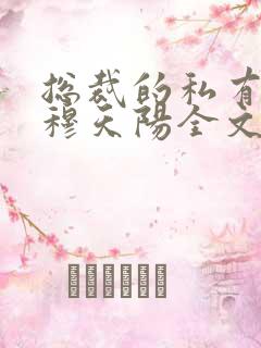 总裁的私有宝贝穆天阳全文阅读