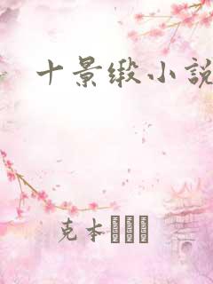 十景缎小说