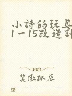 小诗的玩具日记1一15改造计划