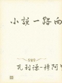 小说一路向西