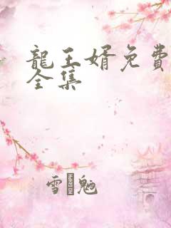 龙王婿免费完结全集