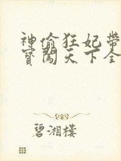 神偷狂妃带着宝宝闯天下全文免费阅读