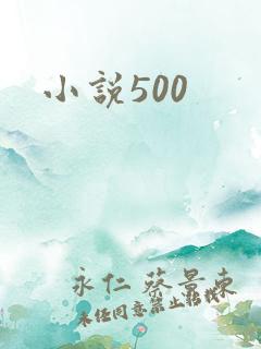 小说500