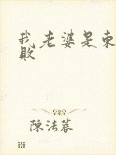 我老婆是东方不败