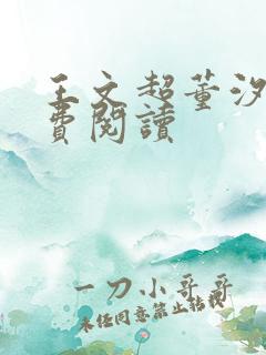 王文超董汐瑜免费阅读