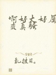 啊好大好厉害好爽真骚